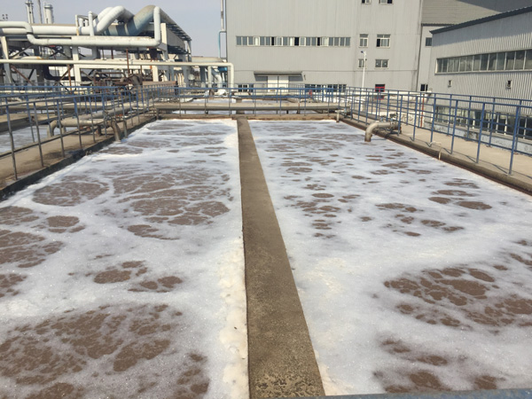 除磷劑是什么藥劑？水里的總磷來自哪里？